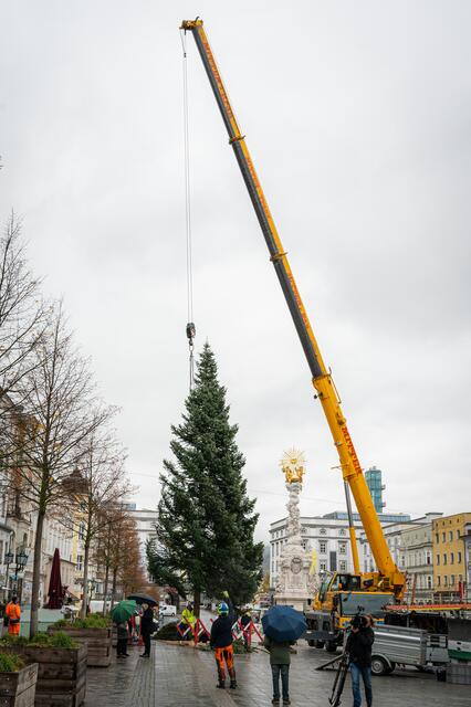 Die 20 Meter hohe Nordmanntanne ziert bis zum Dreikönigstag den Linzer Hauptplatz. | Foto: fotokerschi.at
