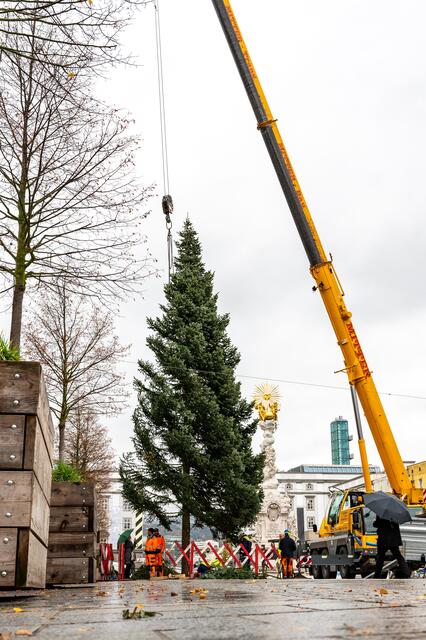 Foto: fotokerschi.at