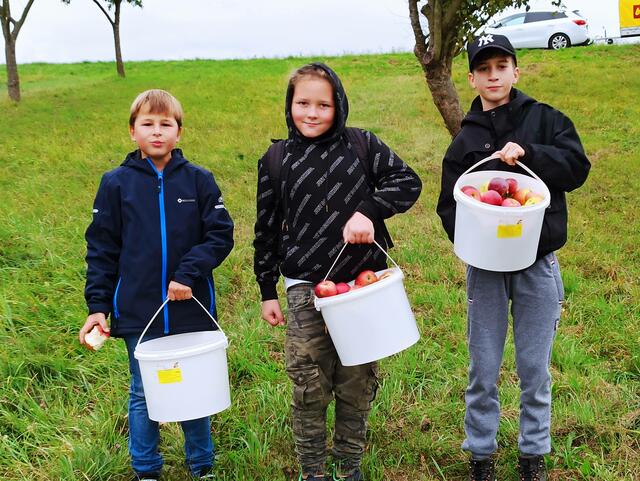 Die Schüler der 3. Klasse pflückten Äpfel auf einer Streuobstwiese.  | Foto: Volksschule Lockenhaus