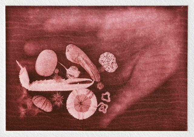 Handstrand | Foto: Peter Flöry