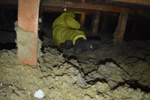 Vergangene Woche wurde die Tierrettung aufgrund einer Schlangensichtung in einem Mehrparteienhaus gerufen. Das Tier wurde am unübersichtlichen Dachboden nicht gefunden.