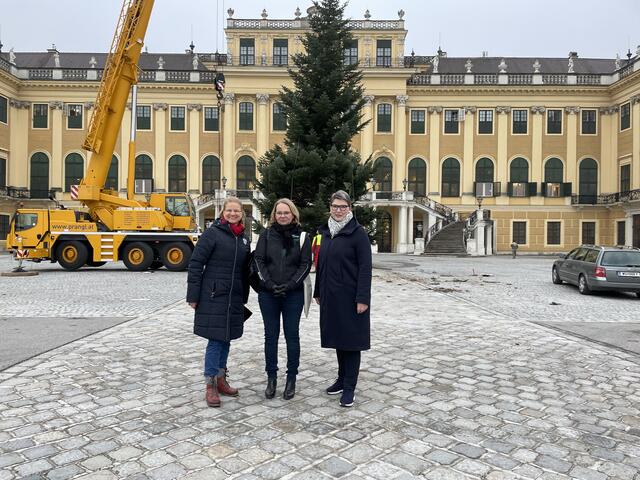 Barbara Gobl, Andrea Kaltenegger und Gabriela Schmidle (v.l.) freuen sich, dass der Weihnachtsmarkt heuer wieder stattfinden wird. | Foto: Berger