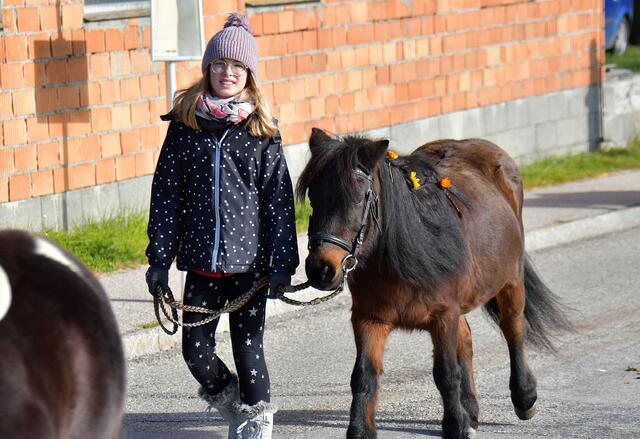 Rosa mir Pony Berta