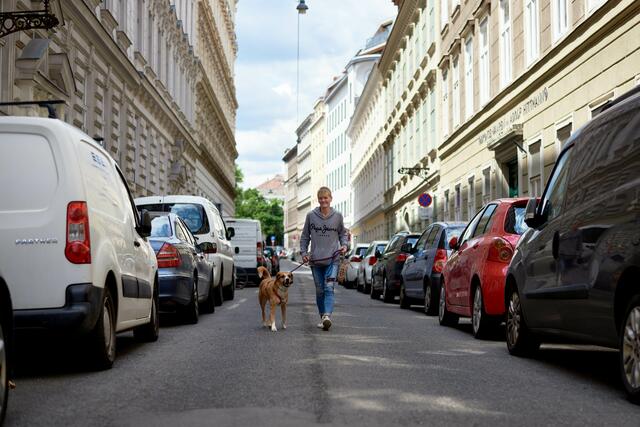 In der Bernardgasse sind wohnungslose Menschen mit ihren tierischen Lieblingen willkommen. | Foto: Caritas Wien