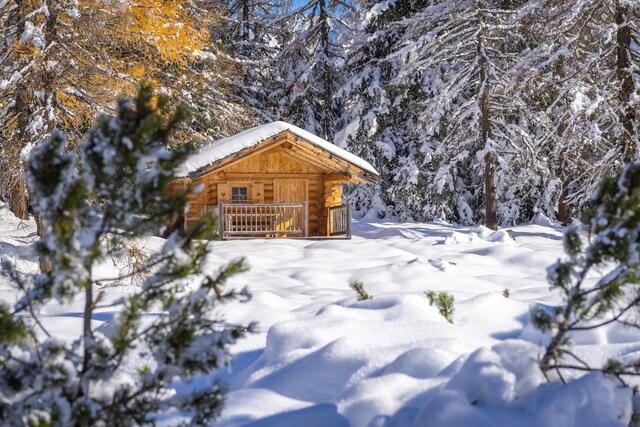 Der erste Schnee