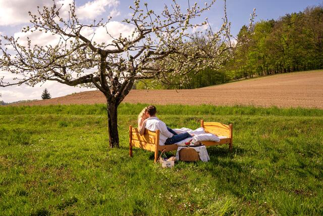 Die Gäste können bei allen Sonnengartl-Gastgebern die einzigartige Landschaft des Südburgenlandes genießen. | Foto: Verein Sonnengartl