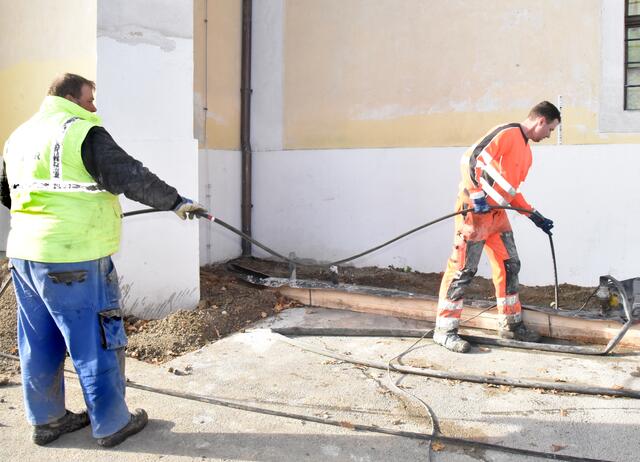 Foto: Herbert Schleich