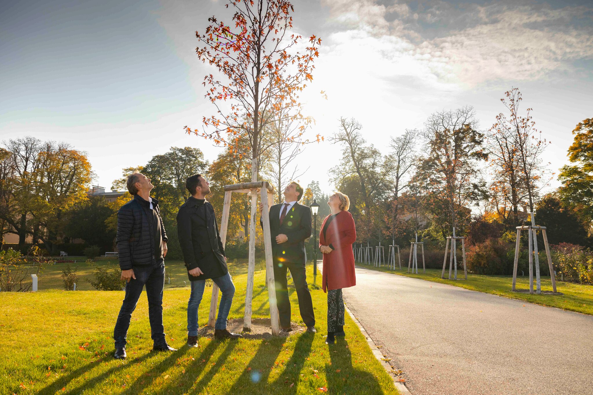 Doblhoffpark Baden Neue AmberbaumAllee in herbstlicher Farbenpracht