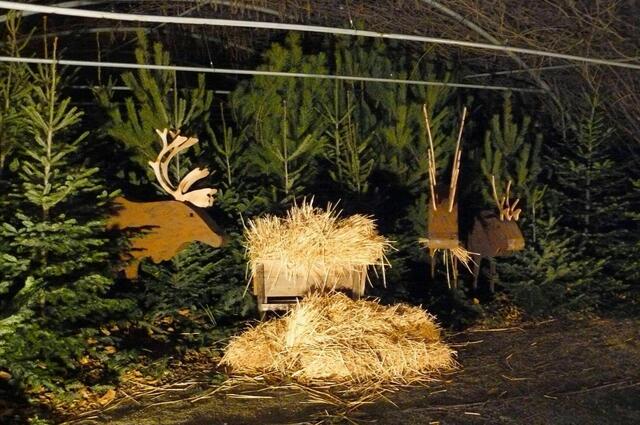 Das Motto der Weihnachtsschau in den Blumengärten Hirschstetten lautet "Post ans Christkind".