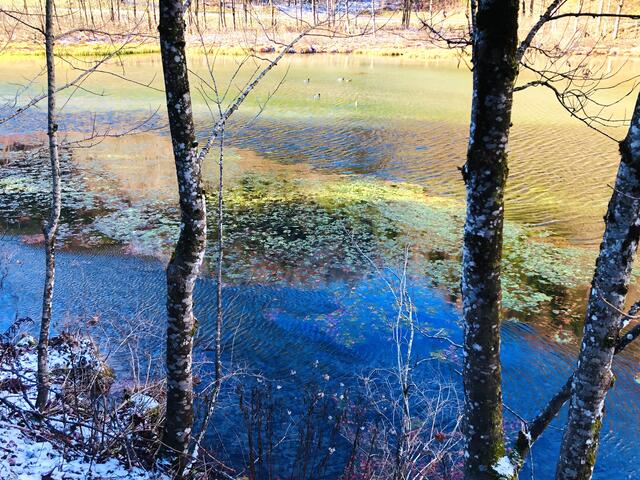Der Wiesensee ist ein Hochfilzener Naturjuwel. | Foto: Kogler