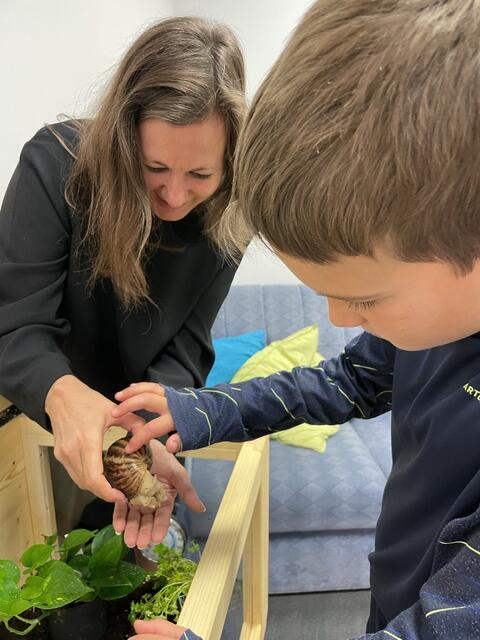 Eines der beliebtesten "Therapieinstrumente" ist eine Achatschnecke.