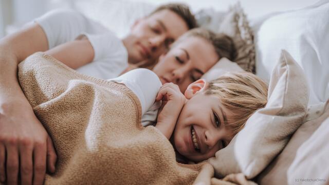 Ein Must-have für alle Allergiker*innen und Veganer*innen: daunenweiche Bettdecken und Kissen aus der bauer fine-bed-art-Kollektion – gefüllt mit supersoften Mikrofasern.