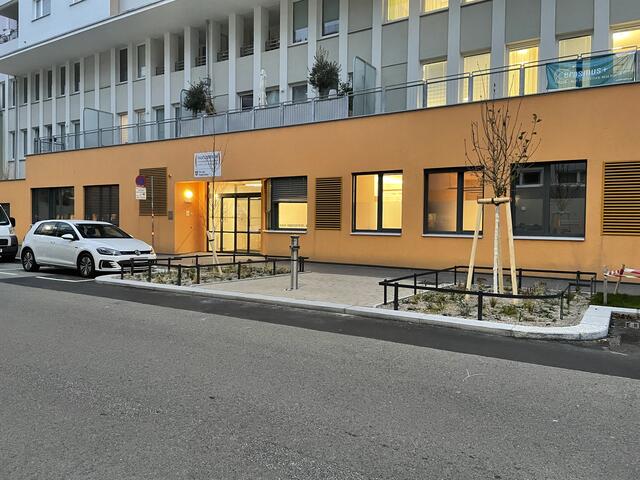 Neue Bäume in der Heigerleinstraße | Foto: mjp