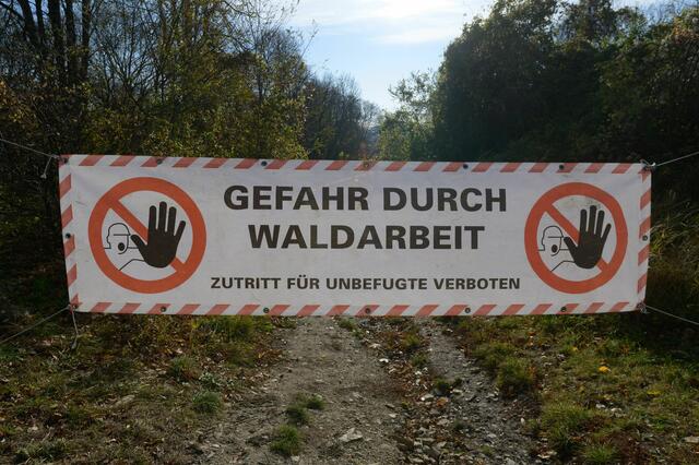 Information zur Lebensgefahr durch Waldarbeit | Foto: ÖBf-Archiv/F. Helmrich