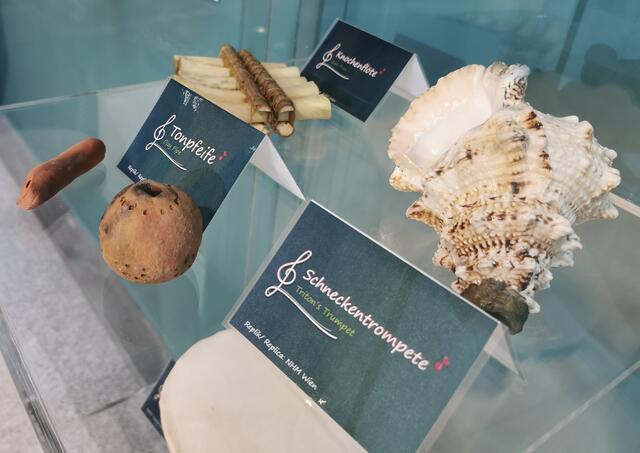 In der wissens.wert.welt gibt es viel zu entdecken. | Foto: wissenswert.welt