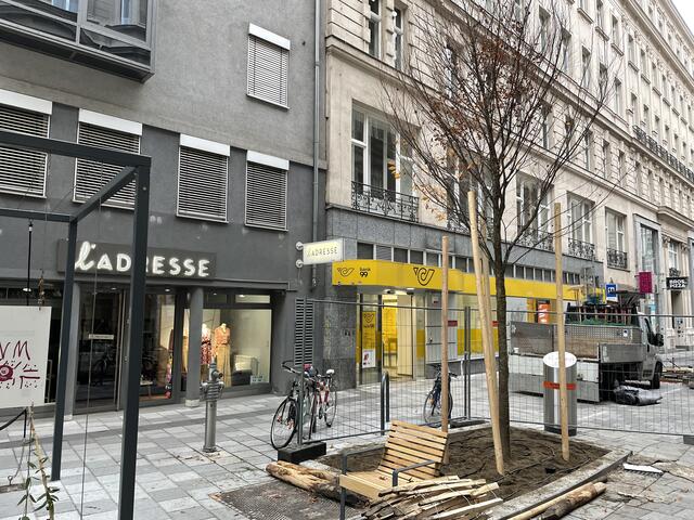 Foto: Nicole Gretz-Blanckenstein