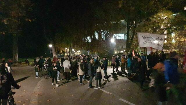 Ende Protestmarsch aus Salzburg | Foto: HKroBild/Mundus24