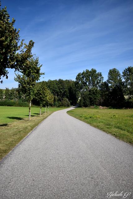 Güterweg in Richtung Altenseng  | Foto: Gabriele P.