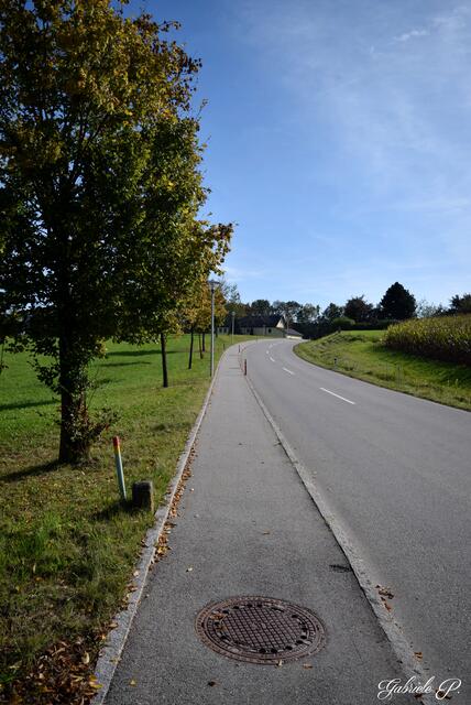 Weg Retour nach Altschwendt  | Foto: Gabriele P.