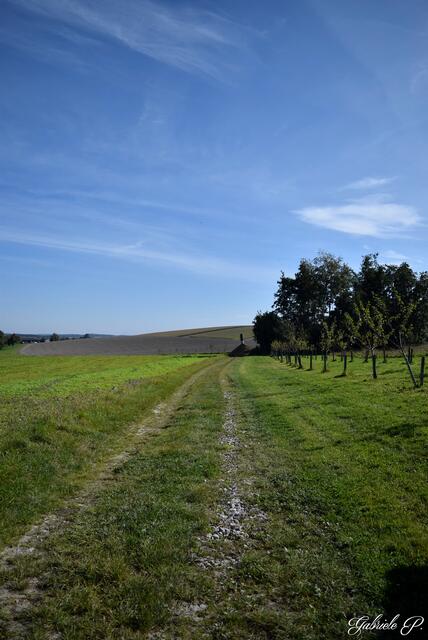 Vorbei an schönen Wiesen und Wäldern  | Foto: Gabriele P.