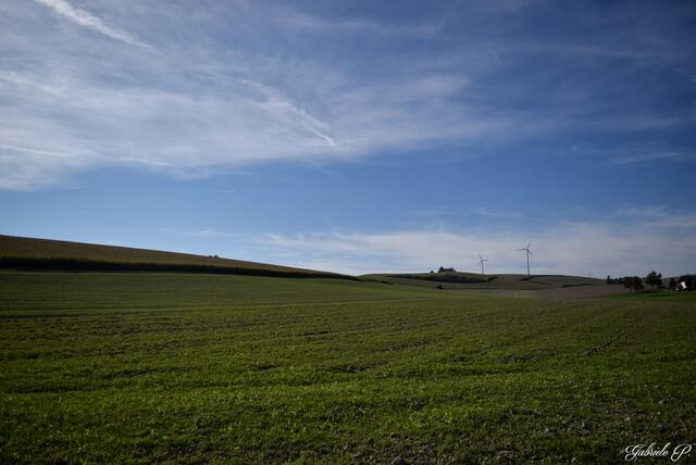Noch mal einen Blick zurück  | Foto: Gabriele P.