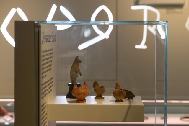 Foto: Museum Lauriacum