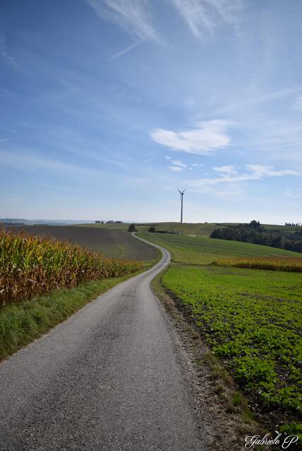 Jetzt gehts wieder bergab  | Foto: Gabriele P.