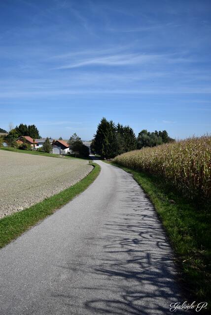 Der Weg bevor es nach dem Teich rechts weg geht  | Foto: Gabriele P.