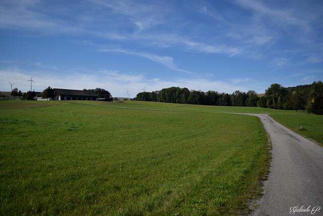 Auch von unten noch ein schöner Anblick  | Foto: Gabriele P.
