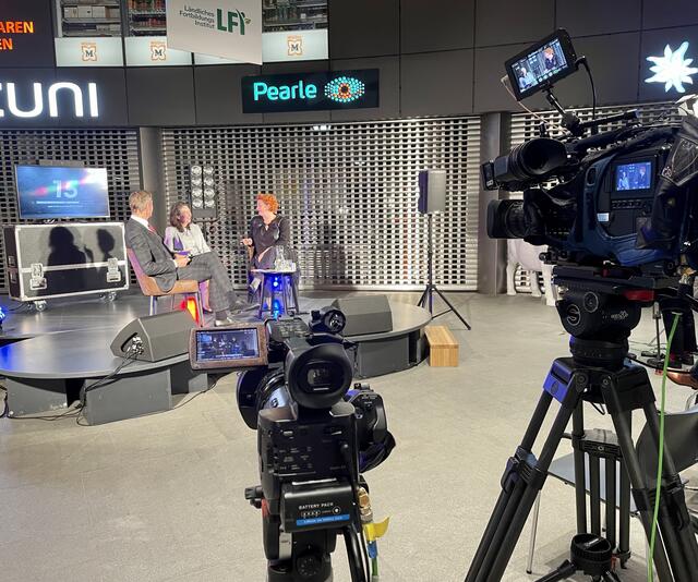 Die Gala fand im kleinen Rahmen und mit Live-Stream statt. | Foto: Wiedner