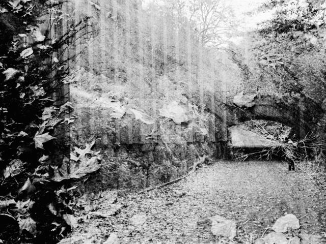 Die Fotografin holt sich gerne Inspiration aus der Natur. | Foto: Christine Miess