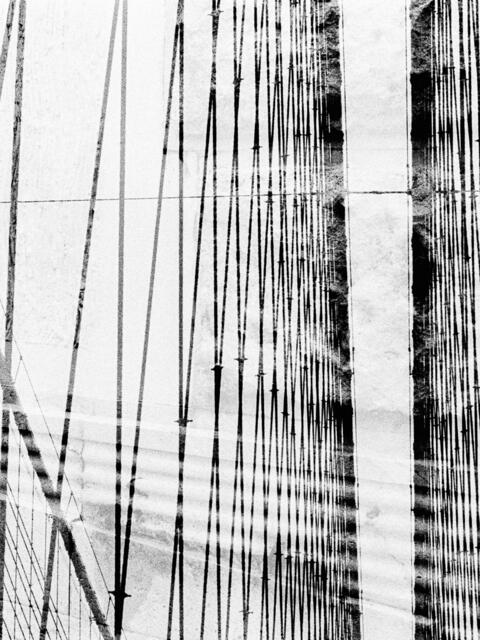 Das Werk "Lines Blurring". | Foto: Christine Miess