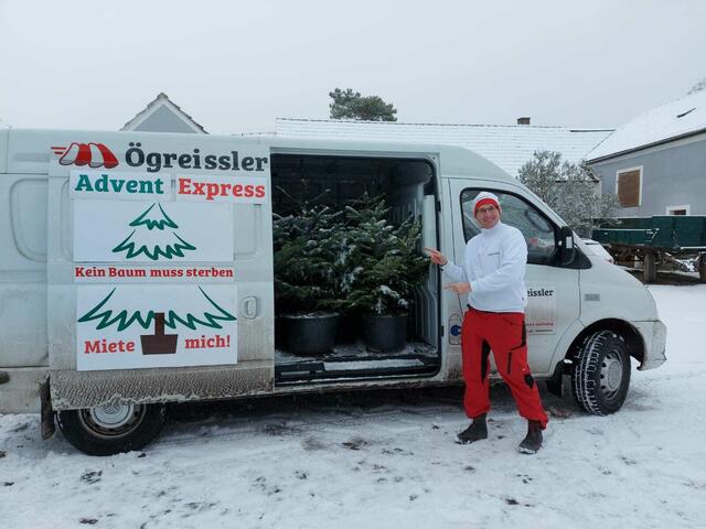 Mit dem Advent-Express direkt geliefert: Ihr lebender Christbaum