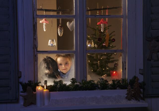 Ob daheim oder ein gemütliches Platzerl im 7. Bezirk – wir wollen deine Bilder von der schönsten Weihnachtsdekoration! | Foto: MEV Verlag