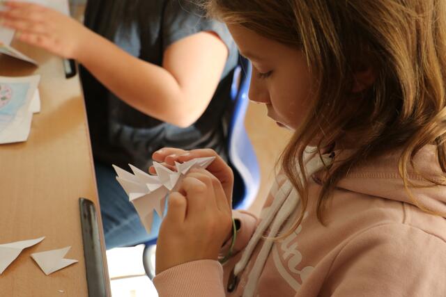 Foto: Simone Putz/Martin Pirschner/Viktoria Brandstätter