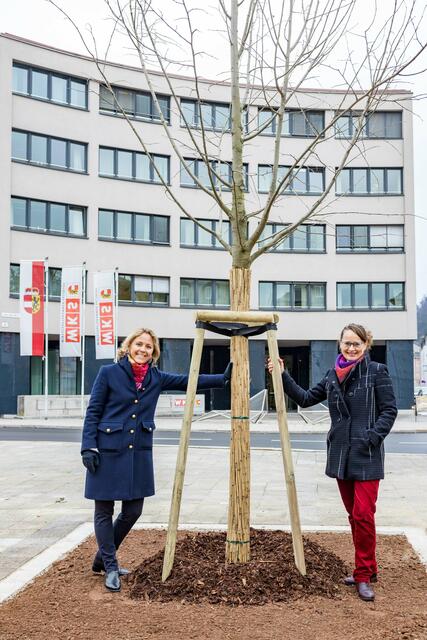 Vizebürgermeisterin Barbara Unterkofler und Stadträtin Martina Berthold mit der frisch gepflanzten Linde. | Foto: wildbild 