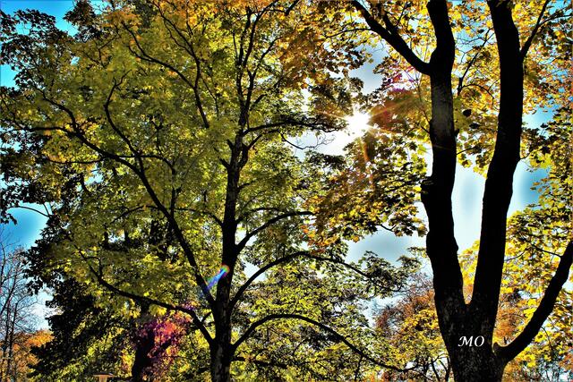 Regenbogen-Hologrammeffekt