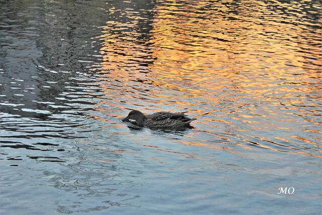 Impressionen aus Graz