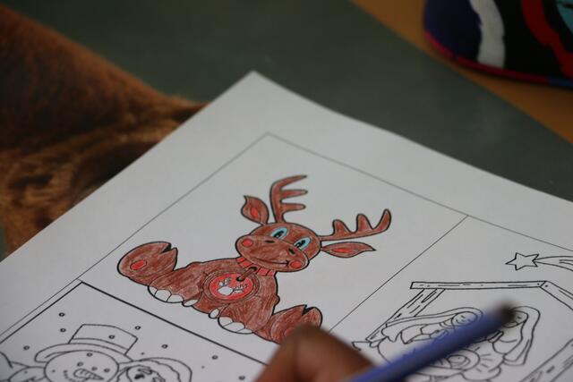 Foto: Simone Putz/Martin Pirschner/Viktoria Brandstätter