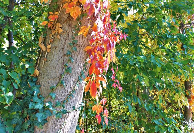 Impressionen aus Graz