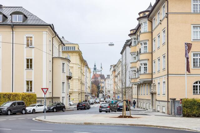 Ein paar Jahrzehnte wird es dauern, bis die junge Linde, wie ihre Vorfahrin die Hausdächer überragt.  | Foto: wildbild 