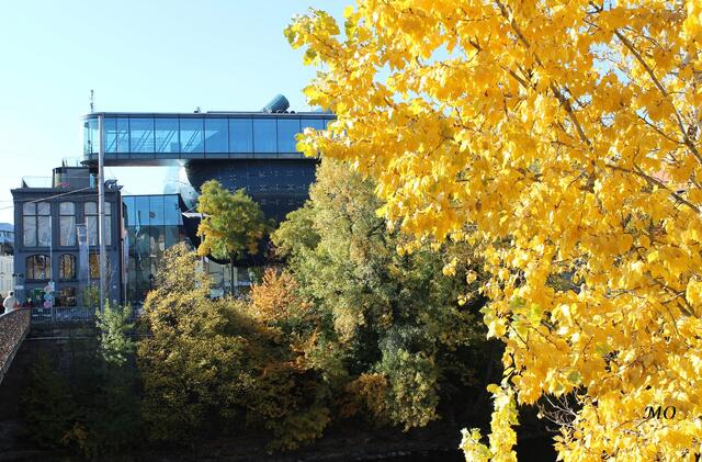 Erzherzog-Johann-Brücke mit den Liebesschössern