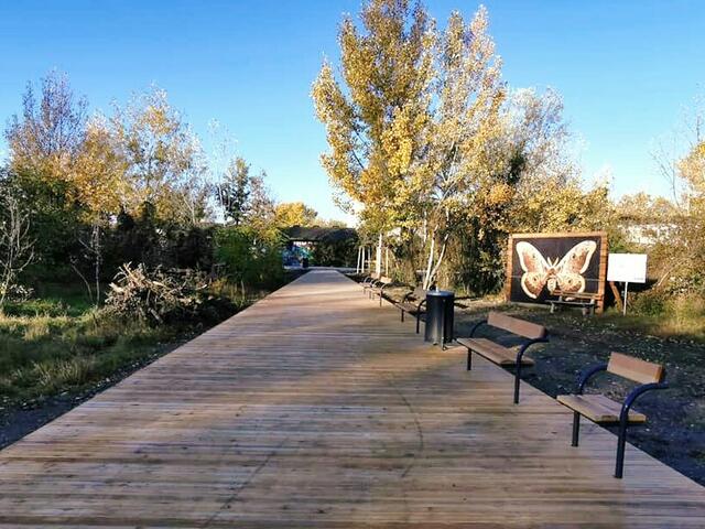 Mit der Freien Mitte soll in der Leopoldstadt bis 2025 die größte neue Wiener Parkanlage seit 1974 entstehen. Jetzt wurde bereits der erste Teilbereich der Stadtwildnis im Nordbahnviertel fertig gestellt.  | Foto: BV2/Eva Kalenczuk