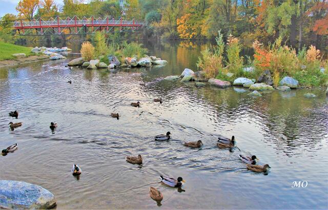 Augarten-Steg in Graz