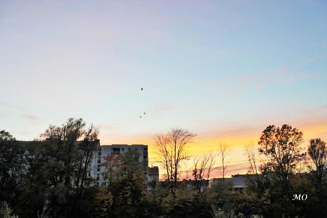 Sonnenuntergang in der Augartenbucht