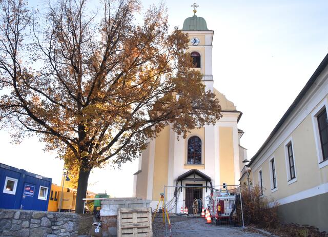 Foto: Herbert Schleich