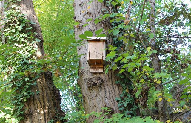 Impressionen aus Graz