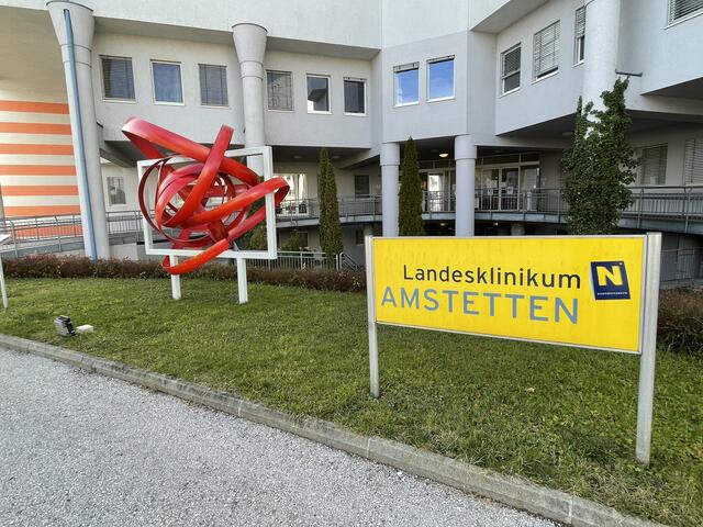 Der Verletzte wurde nach der Erstversorgung ins Spital Amstetten gebracht (Symbolfoto).