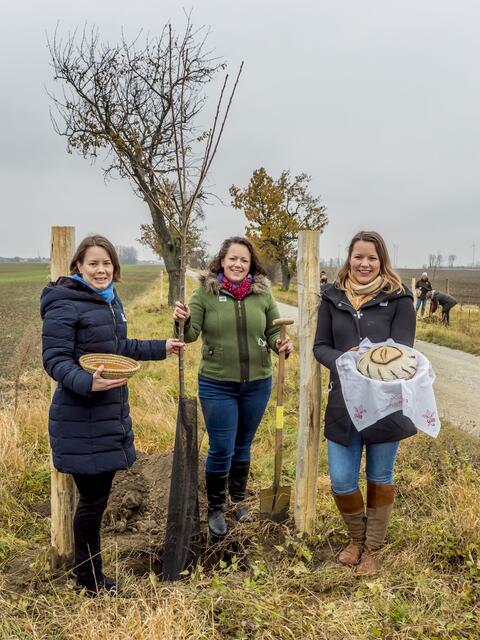 Präsentation der Probstdorfer Braunhirse und des „Probstdorfer Bauernbrotes“ beim Kirschbaumsetzen: Die Geschwister Ingrid, Monika und Birgit Blatt aus Probstdorf | Foto: Franz Kern