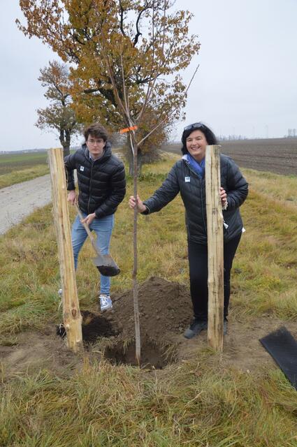 Mutter und Sohn beim Kirschbaumsetzen: Maximilian und Barbara Schachner hoffen in ein paar Jahren die Kirschen des von ihnen gesetzten Baumes in ihrem Geschäft in Probstdorf anbieten zu können | Foto: Herbert Wittine